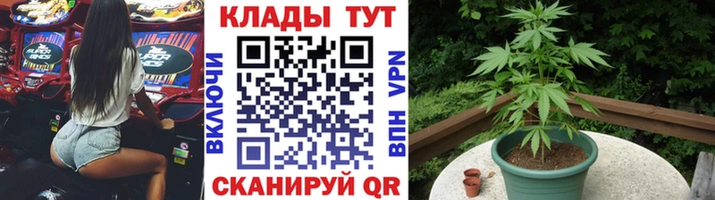 Купить Кедровый СОЛЬ Меф мяу мяу Гашиш COCAIN