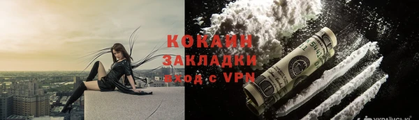 бошки Бородино