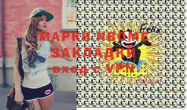 бошки Бородино