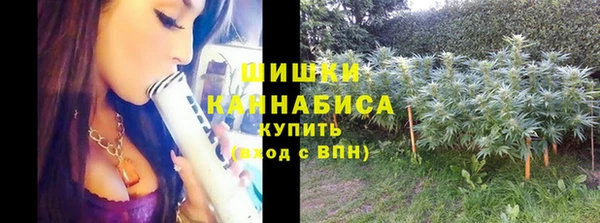 гидра Бугульма