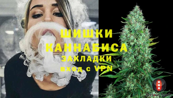 бошки Бородино